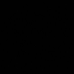 Meet your Posher, Violet